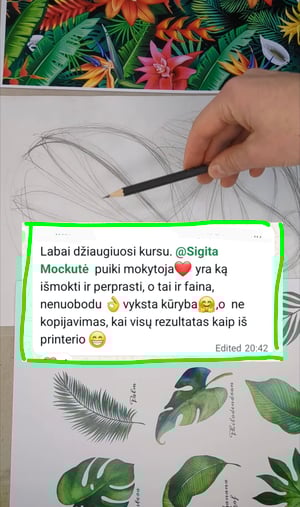 Image of Kūrybingumo kursas AUGALAI