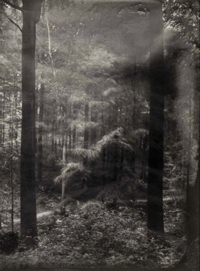 Image 1 of Sacro Silenzio - Silvano Magnone