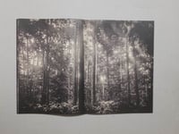 Image 4 of Sacro Silenzio - Silvano Magnone