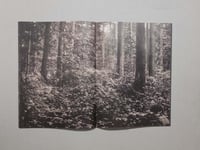 Image 7 of Sacro Silenzio - Silvano Magnone