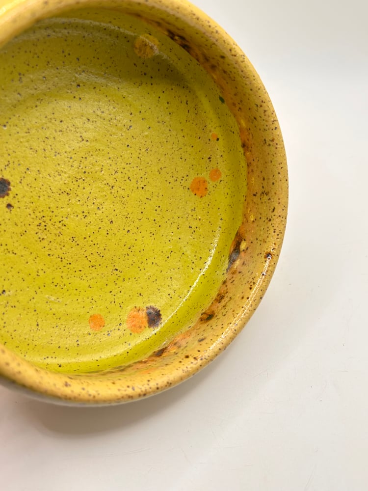 Image of Gecko Bowl