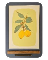 Image 1 of A3 - BOTANICAL LEMONS -SALE - SUPER SECONDS FESTIVAL