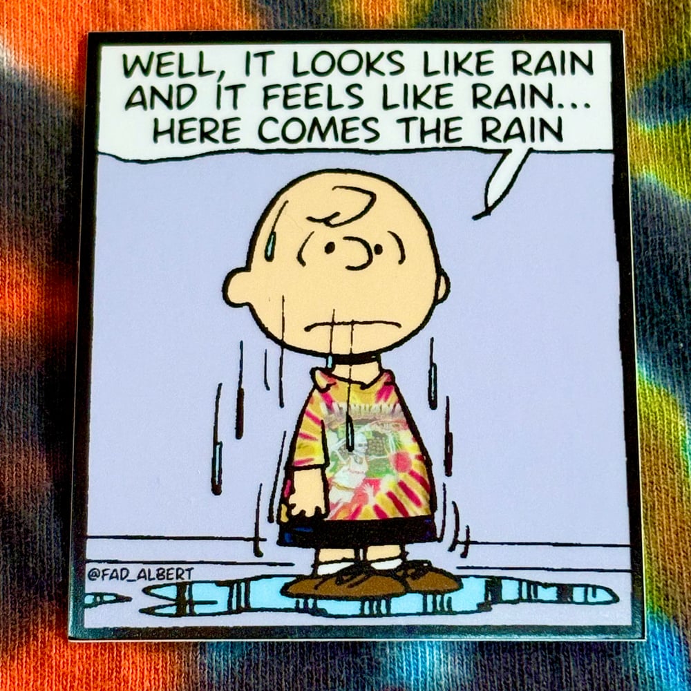 Image of Looks Like Rain sticker