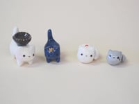 Image 1 of "Seconds" Kitties - choose one 