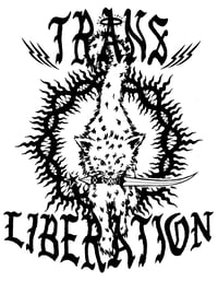 Image 3 of Trans Liberation Meow!