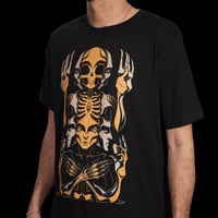 Image 2 of TRANSCENDENCE