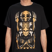 Image 3 of TRANSCENDENCE