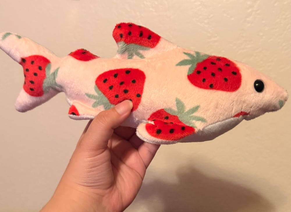 Image of Shark (NEW Variants) 