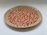 Image 1 of Red spot plate ** second **
