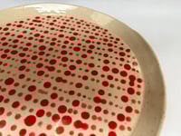 Image 2 of Red spot plate ** second **