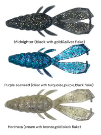 Image 2 of Slimey Beetle