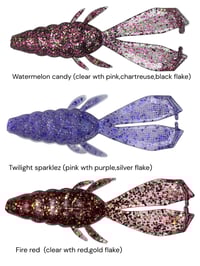 Image 3 of Slimey Beetle