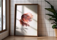 Image 3 of Affiche Riso — Cyclamen #2 — A3