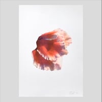 Image 1 of Affiche Riso — Cyclamen #2 — A3