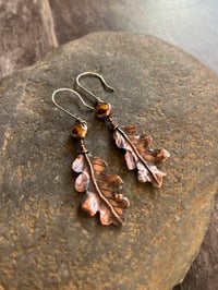 Image 4 of Oak Earrings