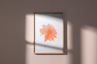 Image 2 of Affiche Riso — Dahlia #1 —  A3