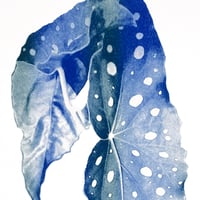 Image 3 of Affiche Riso — Bégonia #2 — A3