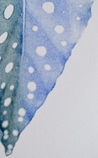 Image 4 of Affiche Riso — Bégonia #2 — A3