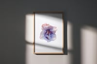 Image 3 of Affiche Riso — Azalée #1 — A3