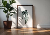 Image 2 of Affiche Riso — Bégonia #1 —  A3