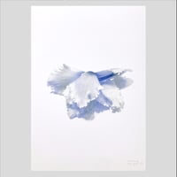 Image 1 of Affiche Riso — Cyclamen #4 —  A3