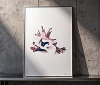 Image 2 of Affiche Riso — Anémone #2 — A3