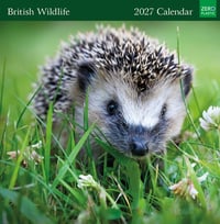 British Wildlife 2027 Calendar