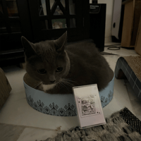 Image 3 of Minerva Hoyt