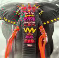 Image 1 of Elephant