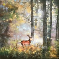 Allan Morgan "Stolen Moments"