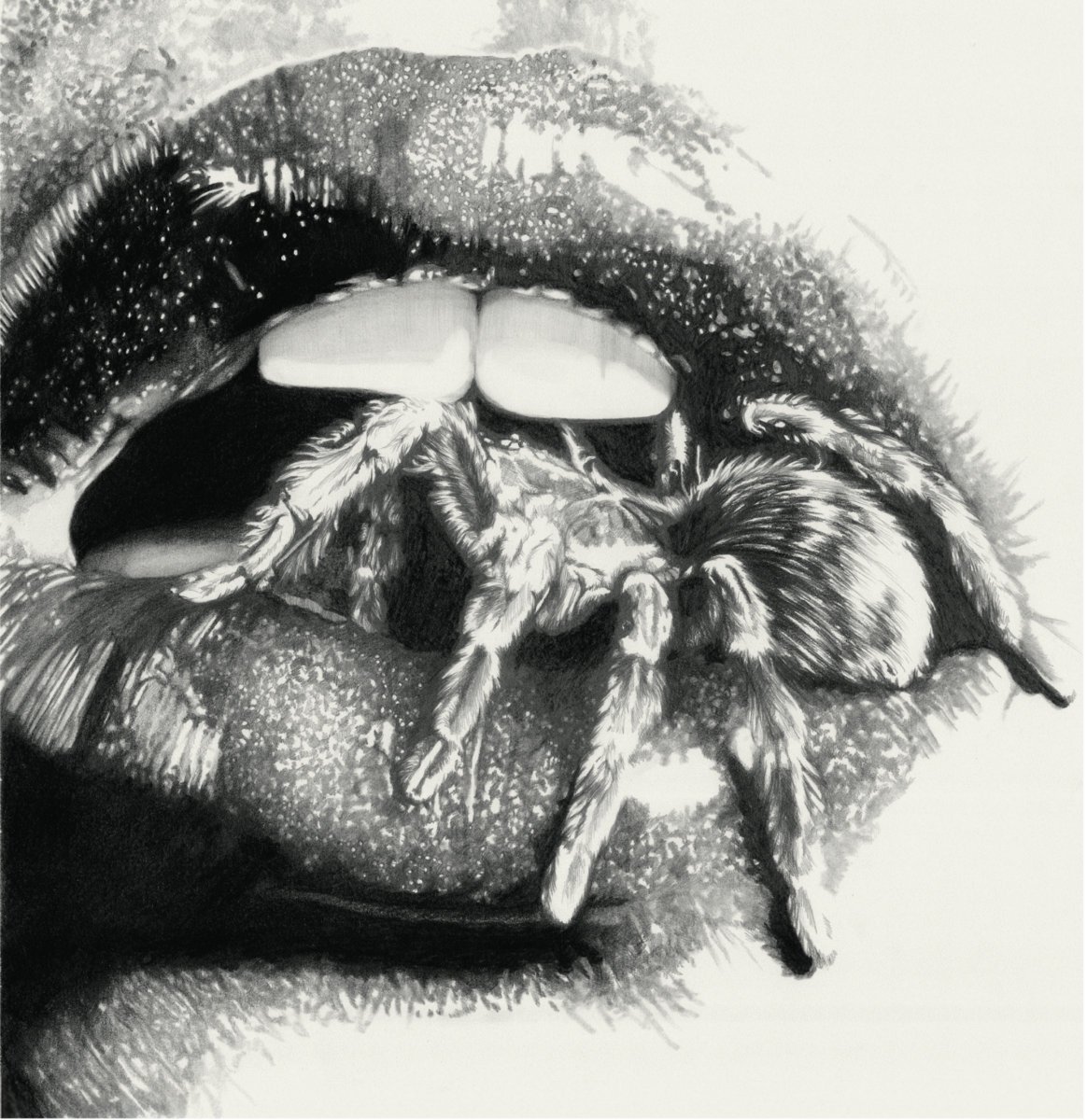Image of Mashena - Let the Spiders In Limited Vinyl Editions
