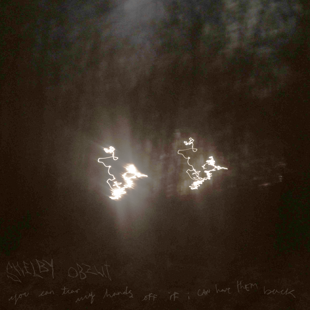 Image of shelby obzut - you can tear my hands off, if i can have them back