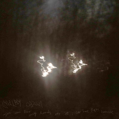 Image of shelby obzut - you can tear my hands off, if i can have them back