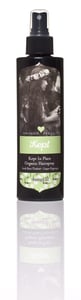 Image of  Kept In Place Organic HAIRSPRAY ~ (SWEET CITRUS/COCONUT)