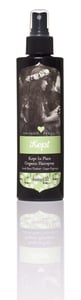 Image of Kept In Place Organic HAIRSPRAY ~ (SWEET CITRUS/COCONUT)