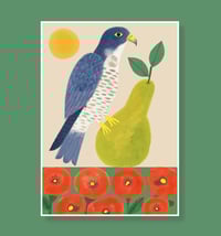 READY TO SHIP - A4 P is for Peregrine Print