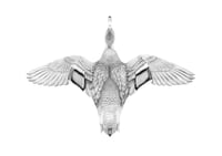 Flying Duck 