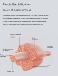 Image 7 of Mini Massage Gun