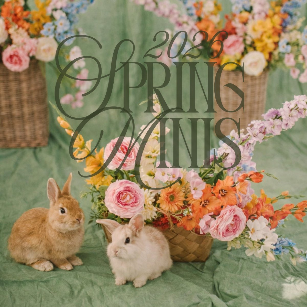 3/8 SPRING MINIS