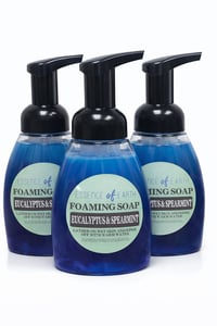 Foaming Hand Soap – Choose Your Scent