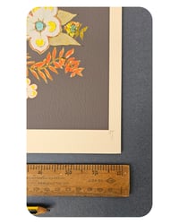 Image 4 of A4 - BLACK FLOWER SENATION - SUPER SECONDS FESTIVAL