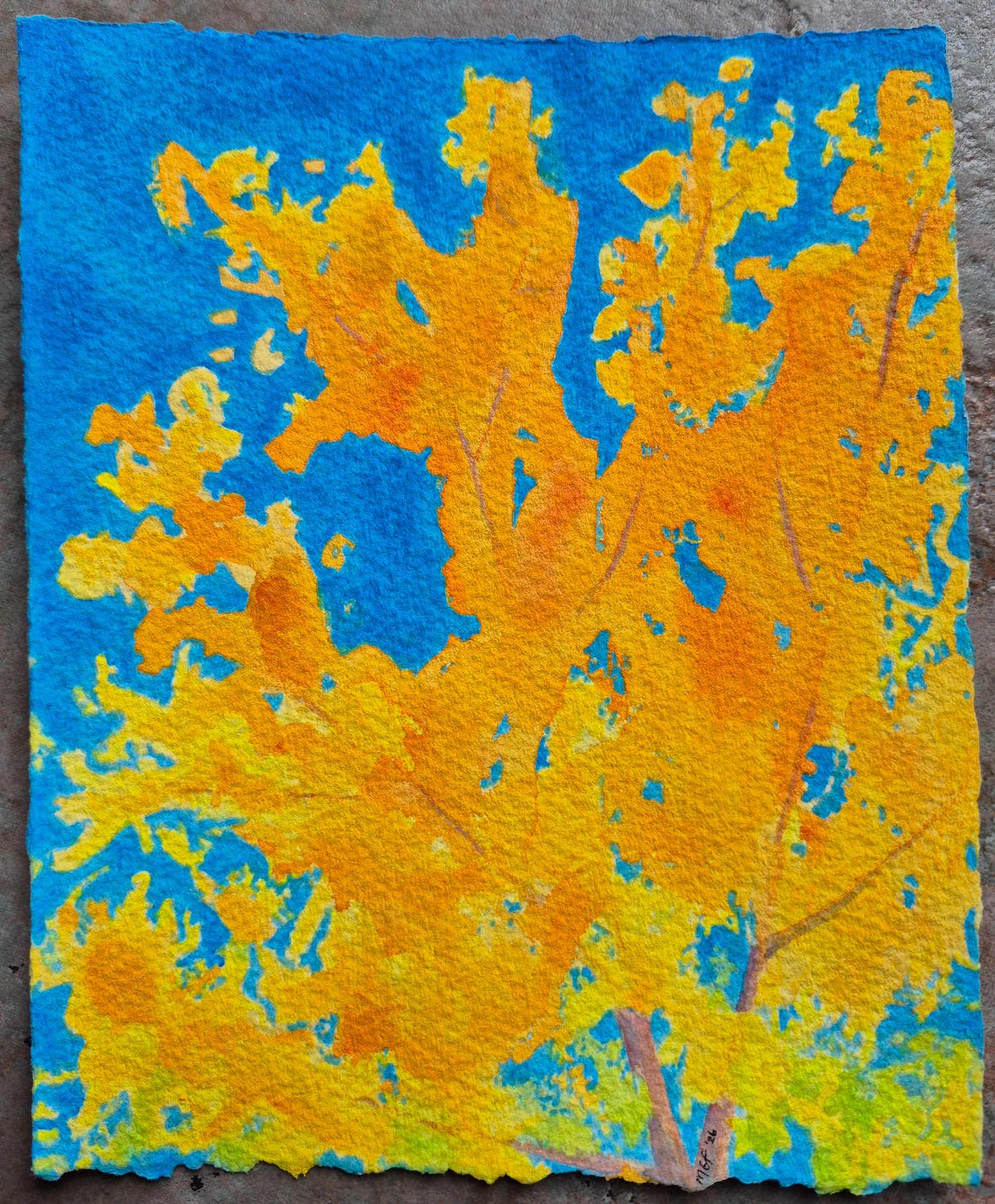 Image of In Cottonwood Light