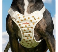 Image 1 of Arnés acolchado para perro o gato – Diseño Carita Feliz y Cherry