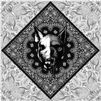 VNDL48 VANDALS Bandana