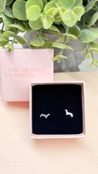 Dachshund Studs