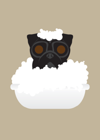 Image 7 of Pug Collection