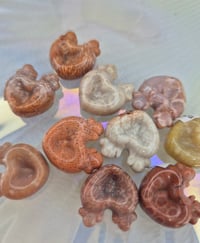 Image 2 of Coral Minis