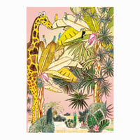 Image 5 of A4 - NEW ADVENTURE - ON SALE