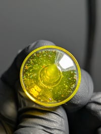 Image 3 of New Peak/New Proxy Cropal Terps