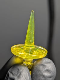 Image 2 of New Peak/New Proxy Cropal Terps